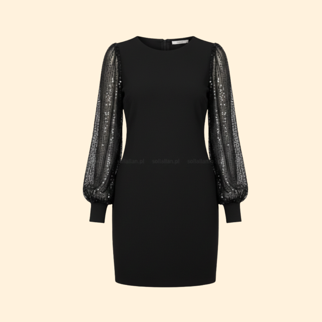 Women’s Sheer Sleeve Dress