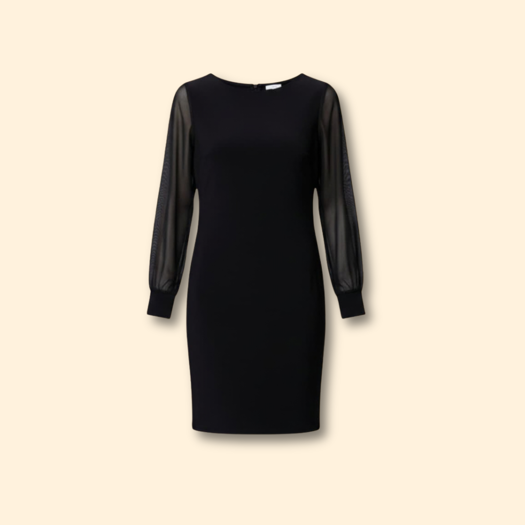 Women’s Sheer Sleeve Mini Dress